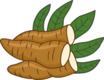 Ilustração de uma raiz de mandioca, um alimento tradicional na culinária indígena